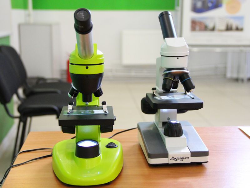 Фото к Два глаза —  хорошо, а четыре — лучше!