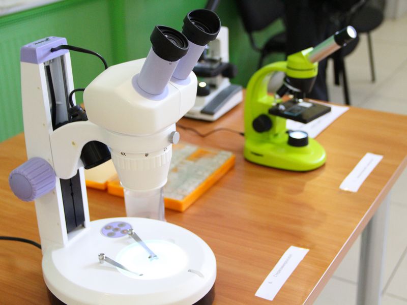 Фото к Два глаза —  хорошо, а четыре — лучше!