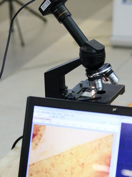 Фото к День открытой астрономии