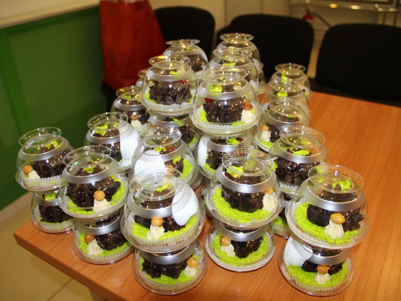 Фото к «Безопасный интернет» в гостях у ИЦАЭ