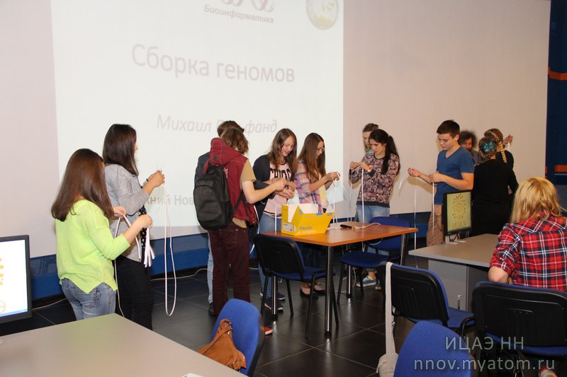 Фото к ФеНИсТ2015: собираем геном (день шестой на площадке ИЦАЭ