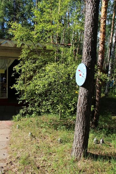 Фото к В студенческом лагере «Ждановец» прошел XIV Фестиваль дружбы атомных предприятий